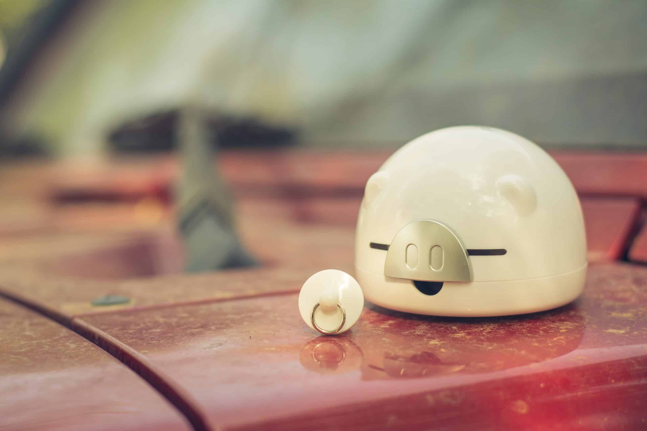 piggy bank