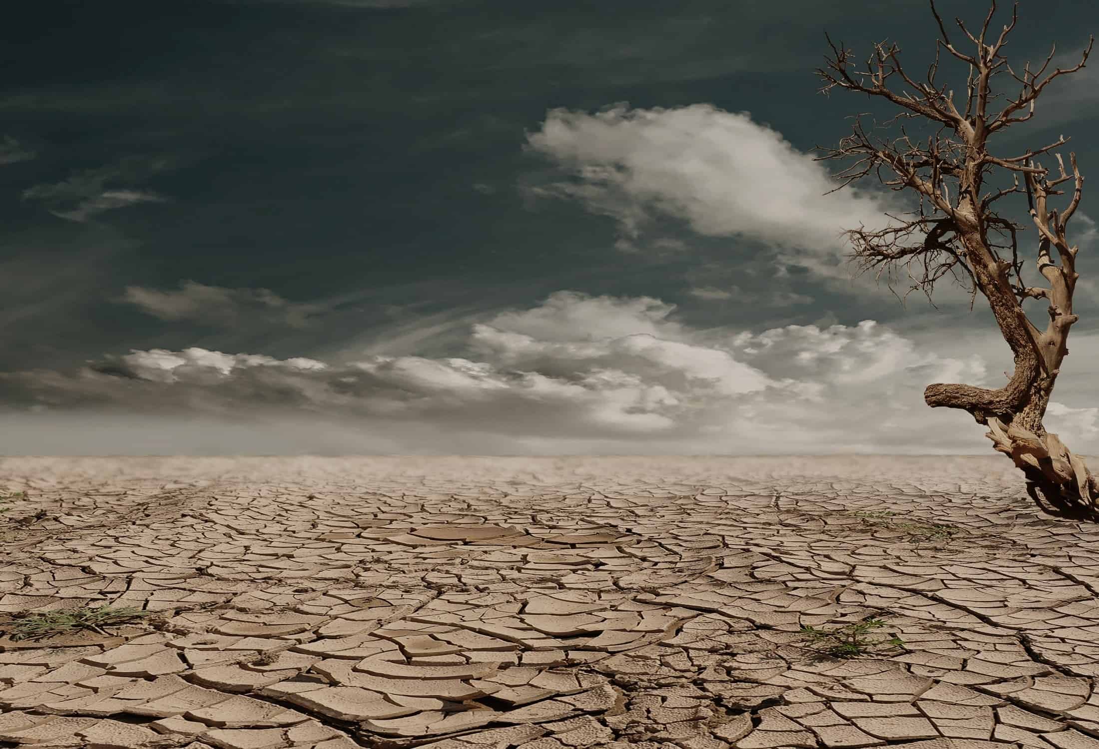 Climate Action Incentive Payment